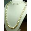 Image 2 : Attractive ladies 18 inch strand of round  Pearls averaging 7.50 MM in diameter on a 14  karat white