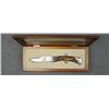 Image 3 : Custom limited edition Cabela’s folding knife  with wood and glass display case by Buck  Knives 229 