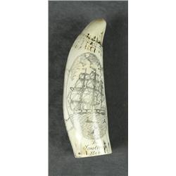 Modern copy of a scrimshaw whale’s tooth,  made of a type of composite material to look  like a toot