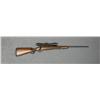 Image 1 : Winchester Model 70 bolt-action rifle, 30-06  Springfield cal., 24” round barrel, blue  finish, chec
