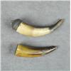 Image 1 : Lot of two priming horns, both approx. 5”  overall, one with a flush wood plug, the  other with a ca