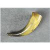 Image 2 : Small old powder horn approx. 7” overall with  simple wood plug in overall good condition.   Est.:  