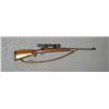 Image 1 : Winchester Model 70 Featherweight bolt-action  rifle, .243 Win. cal., 22” barrel, blue  finish, chec