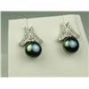 Image 2 : Brilliant 10 karat white gold ladies custom  design earrings set with two round black  Pearls averag