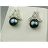 Image 3 : Brilliant 10 karat white gold ladies custom  design earrings set with two round black  Pearls averag