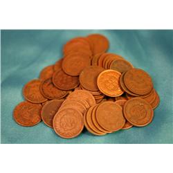 Lot Of 50 Indian Head Pennies