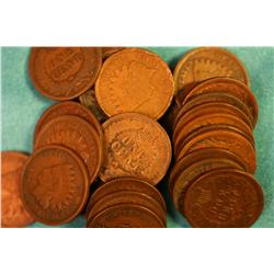 30 Indian Head Pennies