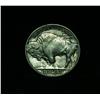 Image 2 : 1913-p TY II Buffalo Nickel 5c Grades Choice Uncirculated ms64