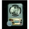 Image 2 : NGC 1922-p Peace Dollar Graded Choice Uncirculated ms64  NGC