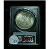 Image 2 : PCGS 1883-o Morgan Dollar Graded Choice Uncirculated ms64  PCGS
