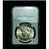 Image 1 : NGC 1924-p Peace Dollar Graded Select Uncirculated ms63  NGC