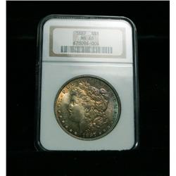 NGC 1887-p Morgan Dollar graded Gem Uncirculated ms65  **RAINBOW TONED**