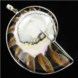 135twc Filled Nautilus Sterling Pendant (JEW-3438)