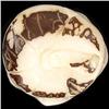 Image 2 : Chinese Handcarved Tagua Ivory Nut (CLB-743)