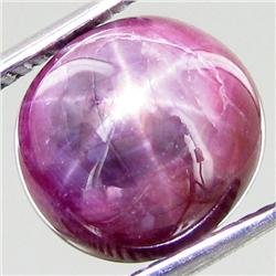 6.7ct Natural Black Star Sapphire (GEM-37386)