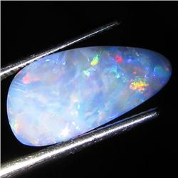 3.65ct Australian Black Opal Doublet Full Fire (GEM-36580)