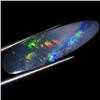 4.25ct Australian Black Opal Doublet Full Fire (GEM-36560)