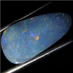 2.95ct Australian Black Opal Doublet Full Fire (GEM-35980)