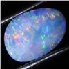 1.67ct Australian Black Opal Doublet Full Fire (GEM-36133)