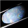 4.35ct Australian Black Opal Doublet Full Fire (GEM-36271)