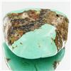 26.25ct Green Turquoise Freeform Cabochon (GEM-33796)
