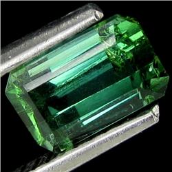 1.15ct Natural Hot Green Tourmaline (GEM-26304)