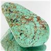 35.3ct Green Turquoise Freeform Cabochon (GEM-33776)