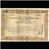 1940s Schine Theatres UNUSED Stock Certif. RARE (CUR-06413)