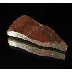 130ct Dinosaur Bone Cut Slab (MIN-000478)