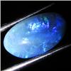 4.65ct Australian Black Opal Doublet Full Fire (GEM-36212)