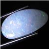 1.32ct Australian Black Opal Doublet Full Fire (GEM-31463)