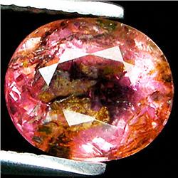 2.19ct Oval Cut Bi-Color Tourmaline (GEM-33506)