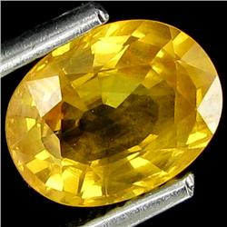 1.75ct Yellow Sapphire Top Lustre Natural (GEM-22165)