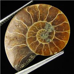 8.9ct Lemon Citrine (GEM-37367)