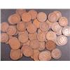 Lot OF 50 Indian Head Pennys