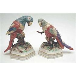 A pair of Nymphenburg parakeets bookends,...