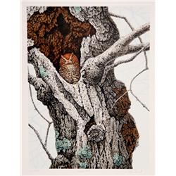 Chris Forrest, Screech Owl, Lithograph