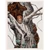 Image 1 : Chris Forrest, Screech Owl, Lithograph