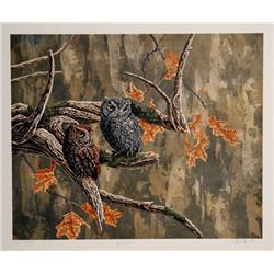 Chris Forrest, Owl Haven, Lithograph