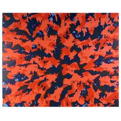 Domenick Turturro, Cosmic Harlem, Serigraph