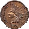 Image 1 : 1876 Indian Head 1C