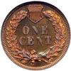 Image 2 : 1887 Indian Cent NGC PF65RD