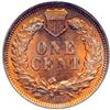 Image 2 : 1905 Indian Head 1C