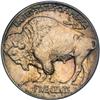 Image 2 : 1913 Buffalo 5C. Type 1