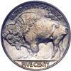 Image 2 : 1913 Buffalo 5C. Type 2