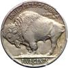 Image 2 : 1913-D Buffalo 5C. Type 2