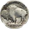 Image 2 : 1918/7-D Buffalo 5C