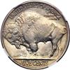 Image 2 : 1921 Buffalo 5C