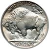 Image 2 : 1929 Buffalo 5C