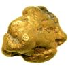 Gold Nugget 15.31 g. (.490 ozt)